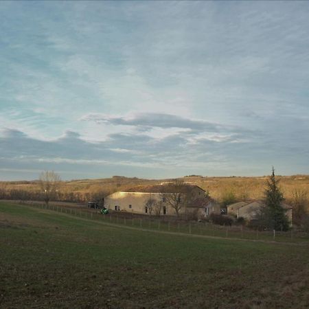 Domaine De La Couderquie Bed & Breakfast Lautrec Eksteriør bilde